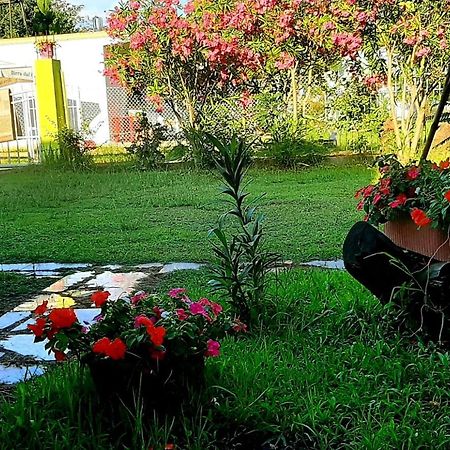 Kolonia E Artistave Apartment Velipoje Bagian luar foto