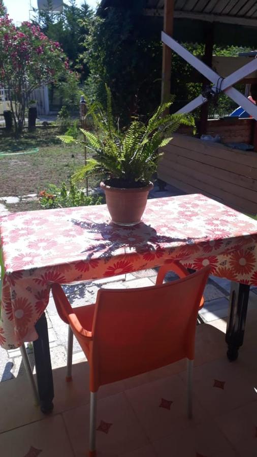 Kolonia E Artistave Apartment Velipoje Bagian luar foto