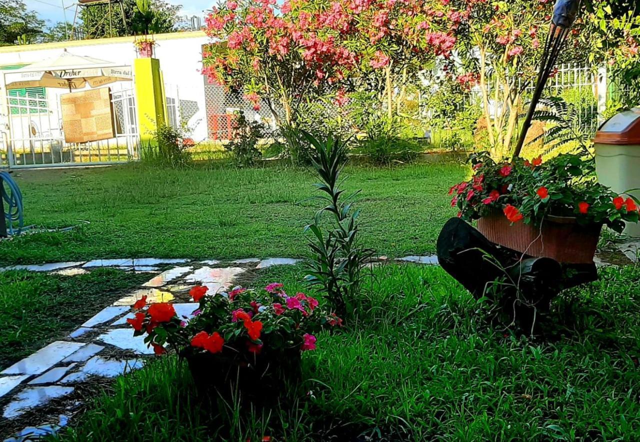Kolonia E Artistave Apartment Velipoje Bagian luar foto