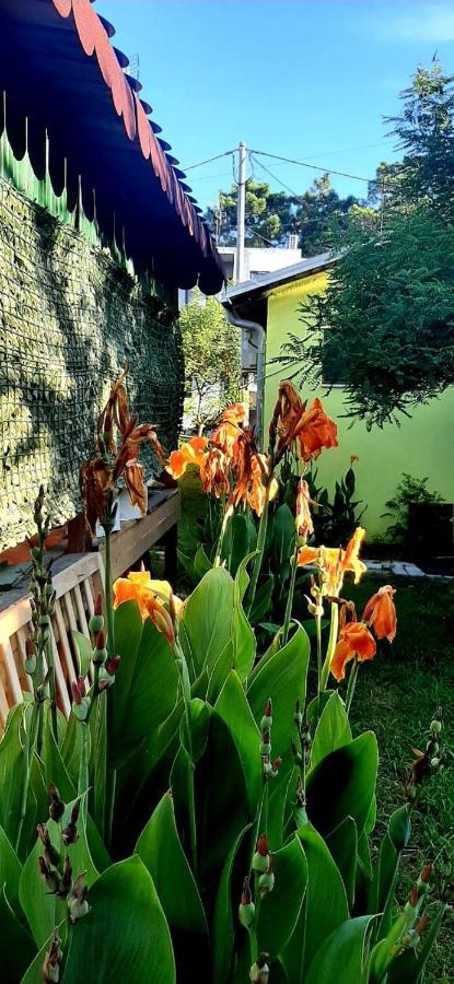 Kolonia E Artistave Apartment Velipoje Bagian luar foto