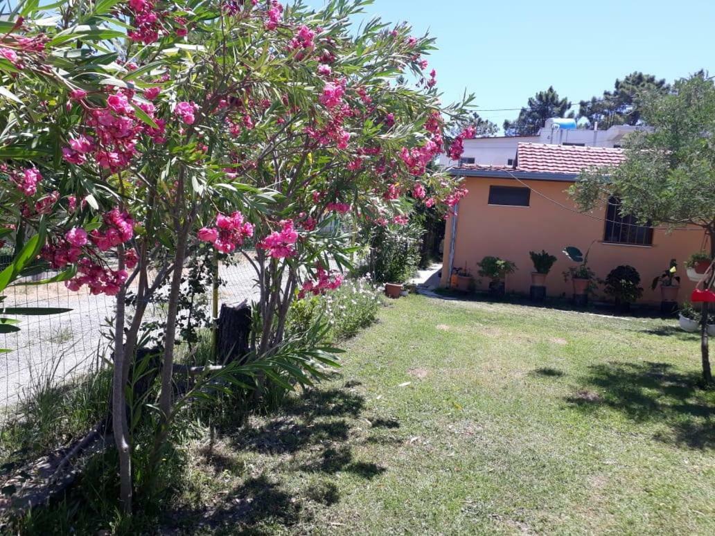 Kolonia E Artistave Apartment Velipoje Bagian luar foto
